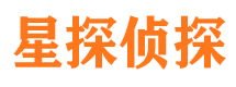 清流市侦探公司